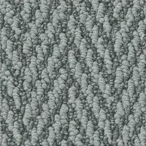Always Natural - Blue Fern Swatch