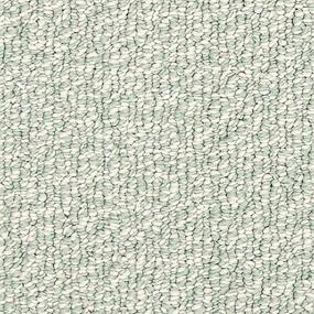 Coastal Vibes - Palm Coast Swatch
