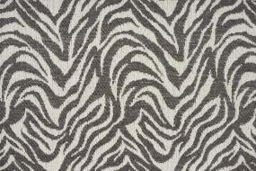 Mountain Zebra