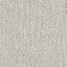 Ash Zoomed Swatch