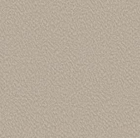 Zydeco - Biscotti Swatch