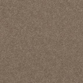 Turnstone Zoomed Swatch
