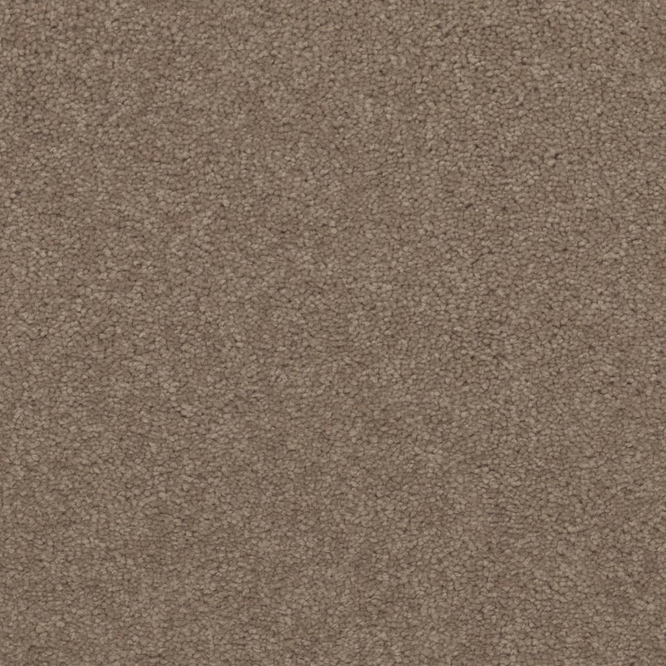 Turnstone Zoomed Swatch