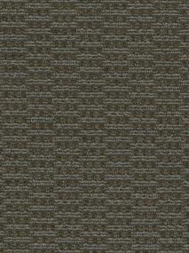 Bandit Swatch Thumbnail