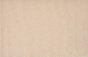 Fresh Canvas Swatch Thumbnail