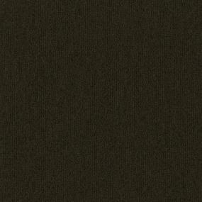 Established Zoomed Swatch