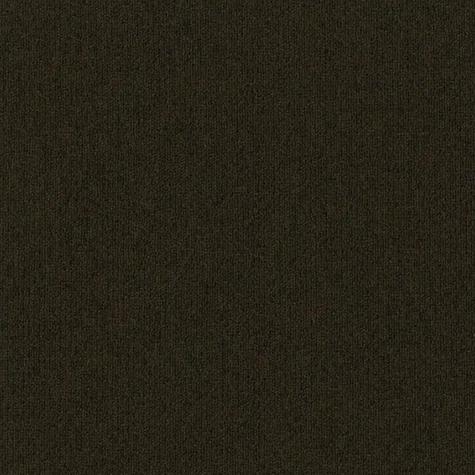 Established Zoomed Swatch