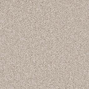 Cape Cod - Parchment Swatch
