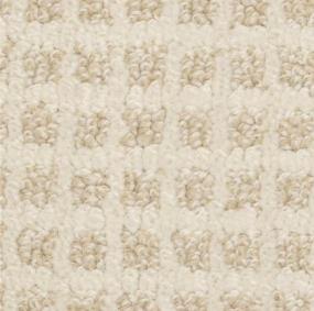 Sauterne Swatch Thumbnail