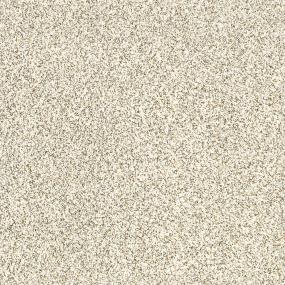 Delicate Distinction Classic I - Cliff Swatch