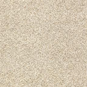 Delicate Distinction Classic I - Cream Tea Swatch