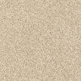Delicate Distinction Classic I - Toasted Grain Swatch