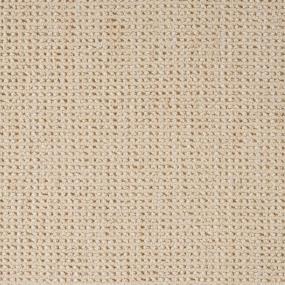 Samba - Blonde Swatch