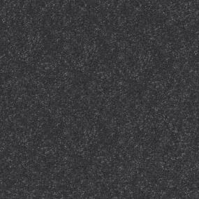Dolphin Zoomed Swatch