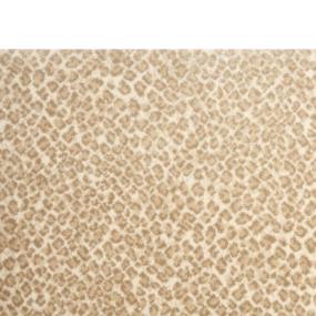 Desert Zoomed Swatch