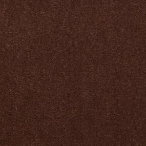 Chocolate Pudding Swatch