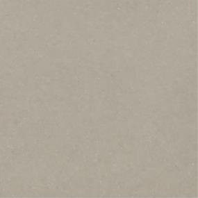 Poise Matte Swatch Thumbnail