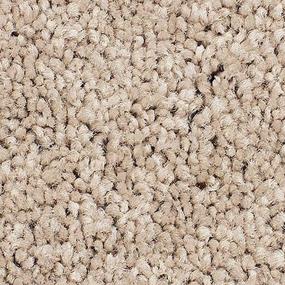 Champagne Zoomed Swatch