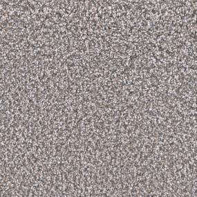 Let's Go Plus - Slingshot Swatch