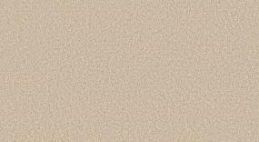 Camp Trail I - Sweet Cream Swatch