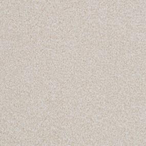 Big Dog - Bulldog Swatch