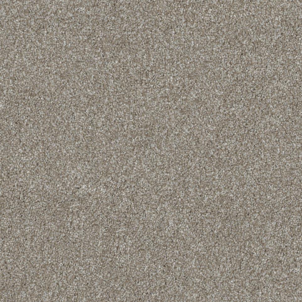 Driftwood Zoomed Swatch