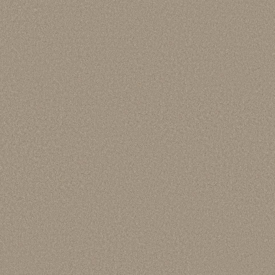 Nutria Swatch