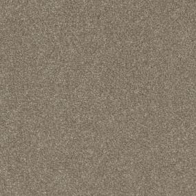 Conch Shell Zoomed Swatch