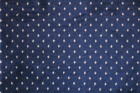 Lake Point - Navy Swatch