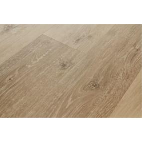 Regency Polished Platinum Swatch