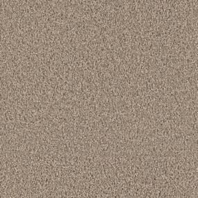 Tigris Zoomed Swatch