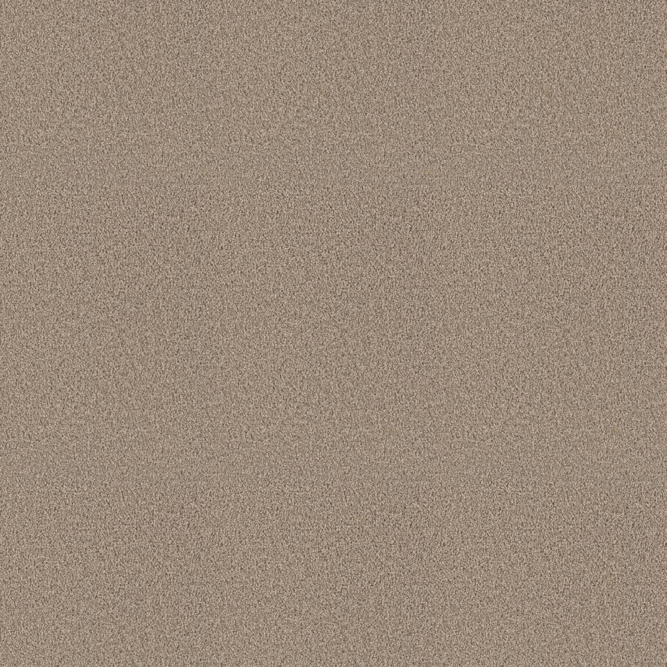 Exceptional II by DreamWeaver - Tigris