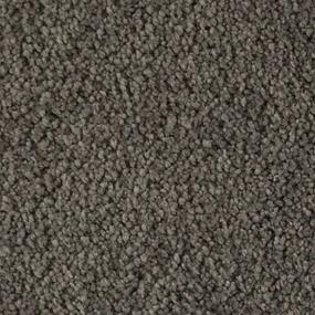 Soft Eloquence - Raven Swatch