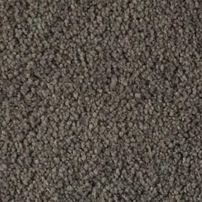 Raven Zoomed Swatch