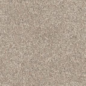 Canine Swatch Thumbnail