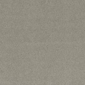 Dream Forest II - Spectacular Swatch