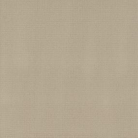 Sure Enough - Belcarra Swatch