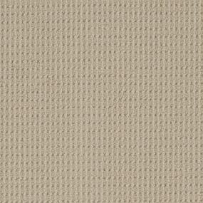 Belcarra Zoomed Swatch