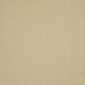 Color Array Tl II 24x24 - Sand Barge Swatch