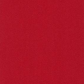 EVERMORE PK - Hot To Trot Swatch