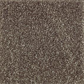 Natural Refinement II - Urban Taupe Swatch