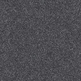 Anything Goes Zoomed Swatch