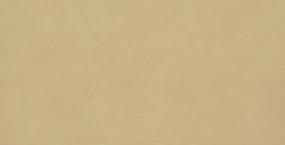 Agio Slim Matte 24X47 - Senape Swatch