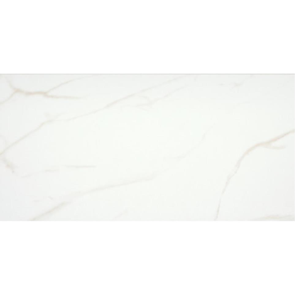 Contessa Matte/Satin 12X24