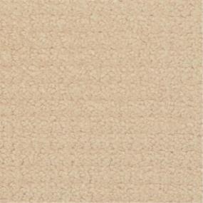 Brush Canvas Swatch Thumbnail