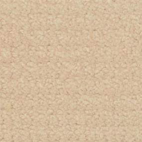 Brush Canvas Zoomed Swatch
