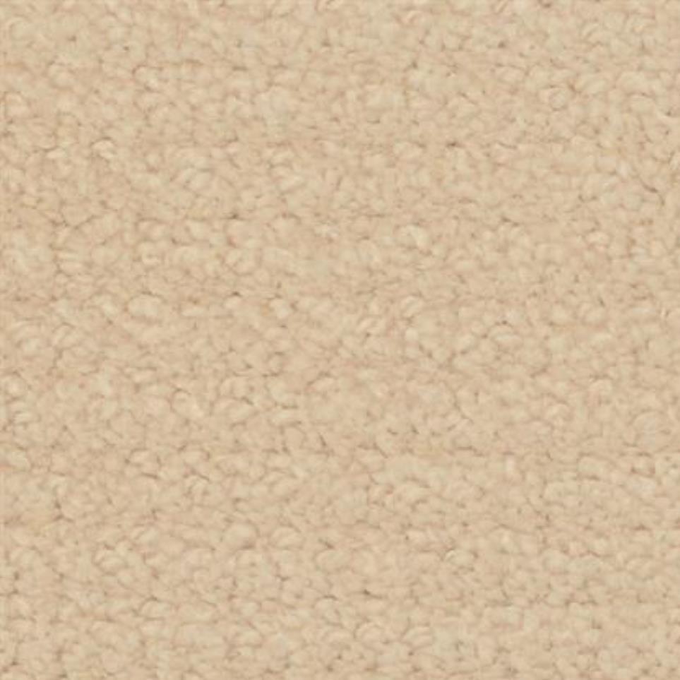 Brush Canvas Zoomed Swatch