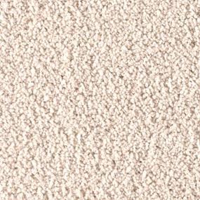 Soft Excellence - Polished White Swatch