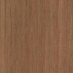 Roasted Chestnut Zoomed Swatch
