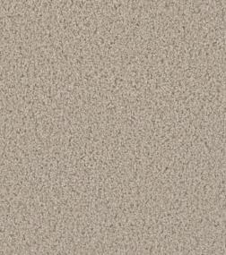 Cce 125 - Cameo Swatch